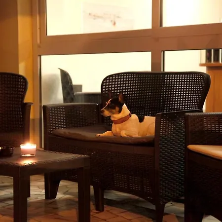 Hotel Alfa